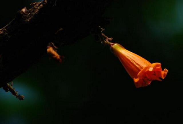 做人，落魄的時候才明白：一切，只能靠自己