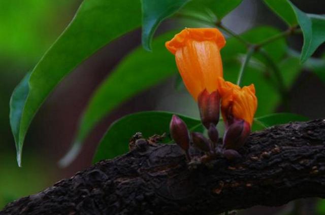 做人，落魄的時候才明白：一切，只能靠自己