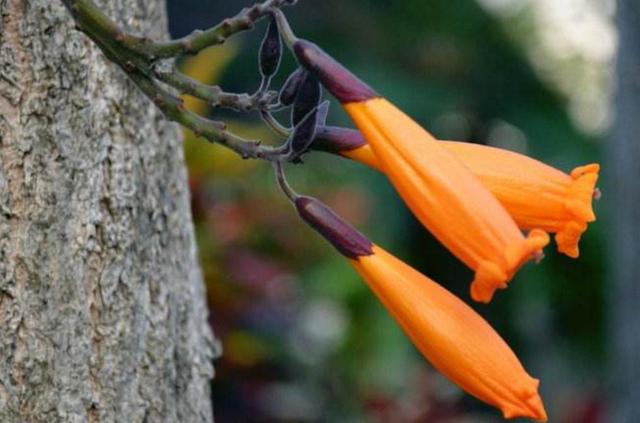 做人，落魄的時候才明白：一切，只能靠自己