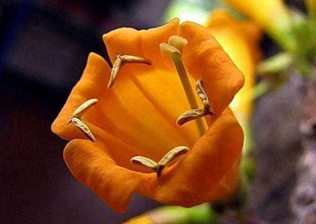 做人，落魄的時候才明白：一切，只能靠自己