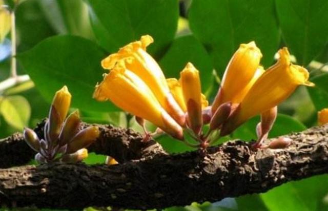 做人，落魄的時候才明白：一切，只能靠自己