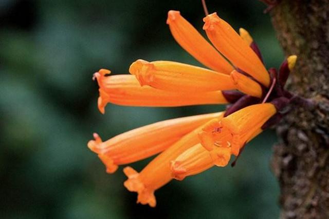 做人，落魄的時候才明白：一切，只能靠自己