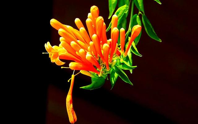 做人，千萬不要看不起自己