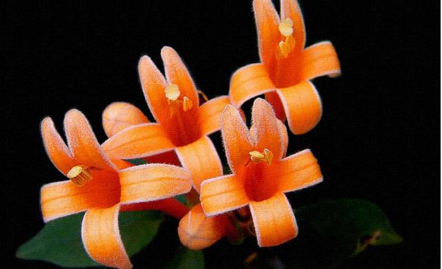 做人，千萬不要看不起自己