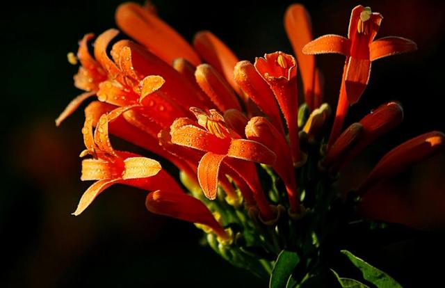 做人，千萬不要看不起自己