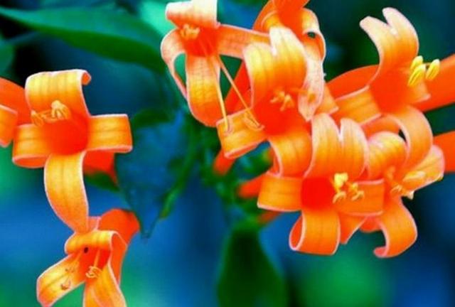 做人，千萬不要看不起自己