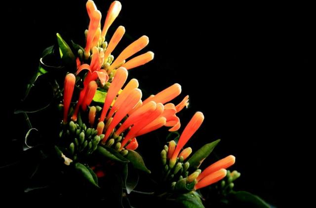 做人，千萬不要看不起自己