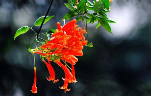 做人，千萬不要看不起自己