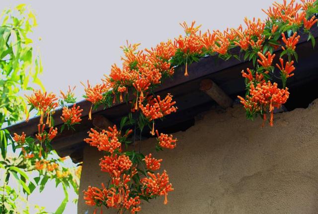 做人，千萬不要看不起自己