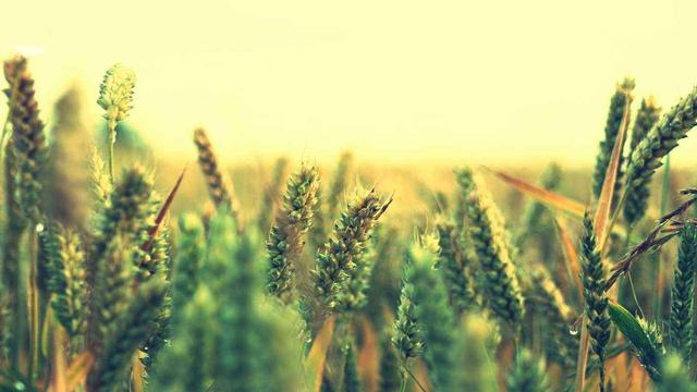 平淡生活，亦不失為一場華麗冒險