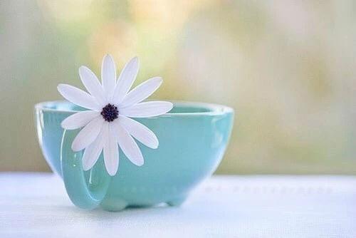 願餘生，可以這樣活！