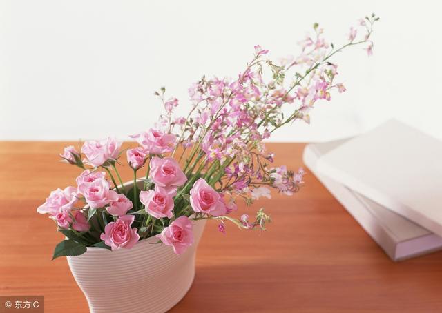 好的生活，要懂得適可而止