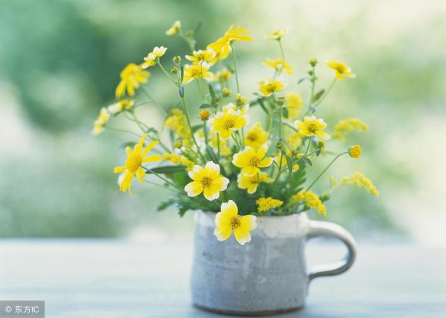 好的生活，要懂得適可而止