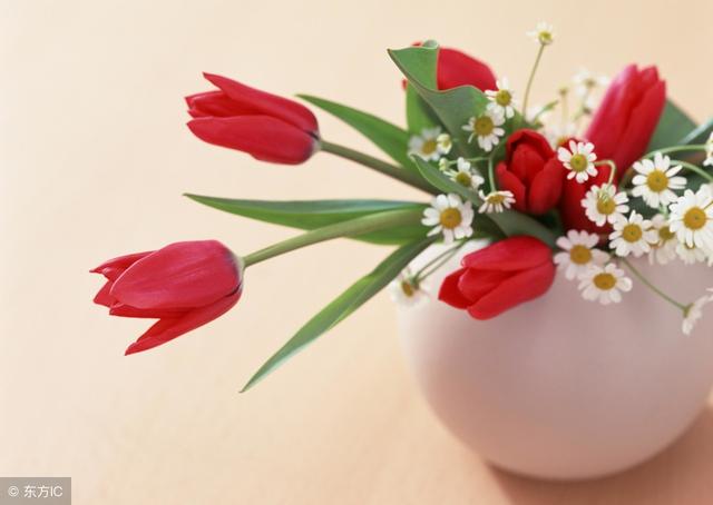 好的生活，要懂得適可而止