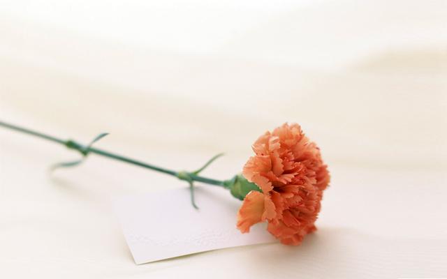 做人之美在於簡約，做事之美在於利索