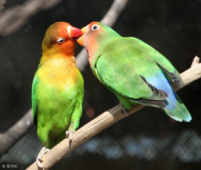 不管你是誰，看看此文，天大的煩惱都會消失