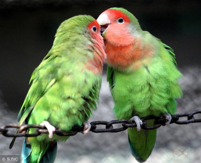 不管你是誰，看看此文，天大的煩惱都會消失