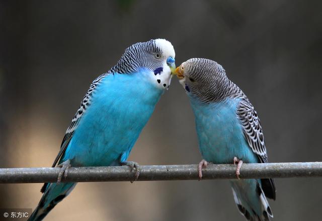 不管你是誰，看看此文，天大的煩惱都會消失