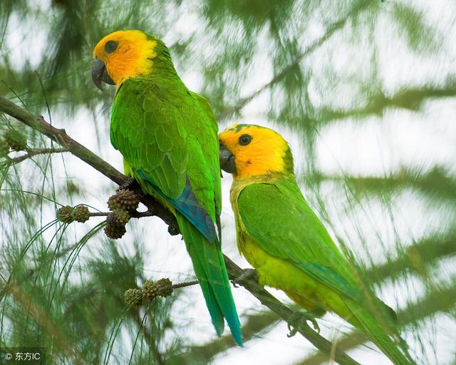 不管你是誰，看看此文，天大的煩惱都會消失