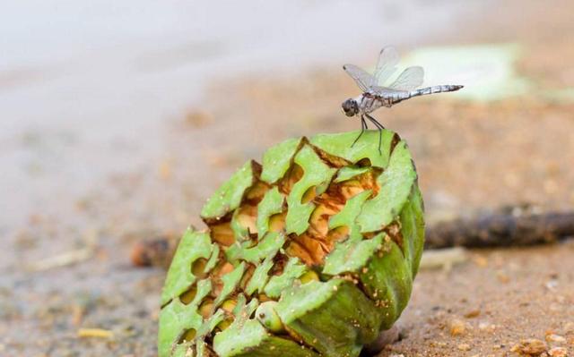 每天堅持做好這四件小事，你的福氣就來了