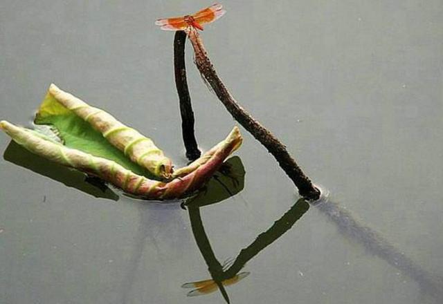 每天堅持做好這四件小事，你的福氣就來了