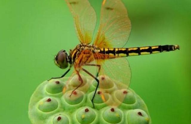 每天堅持做好這四件小事，你的福氣就來了