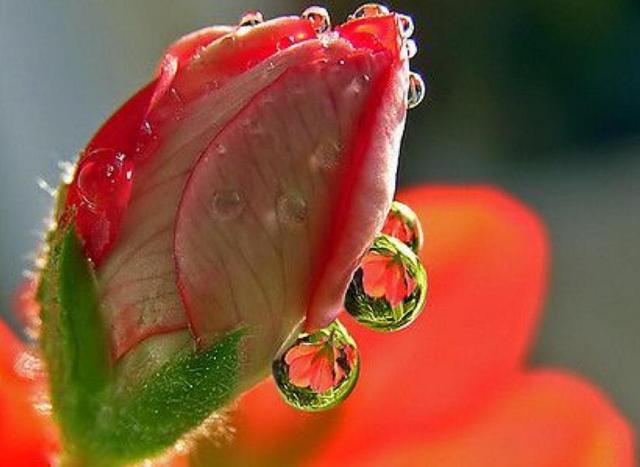 沒人疼的時候，請記住這三句話