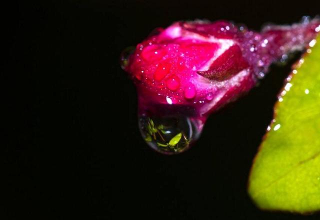 沒人疼的時候，請記住這三句話