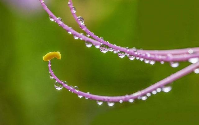 沒人疼的時候，請記住這三句話