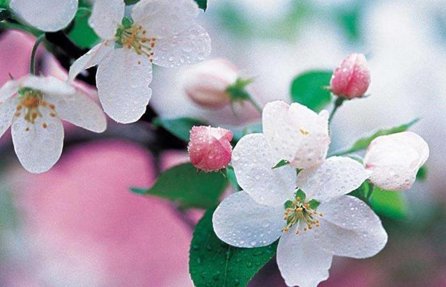 沒人疼的時候，請記住這三句話