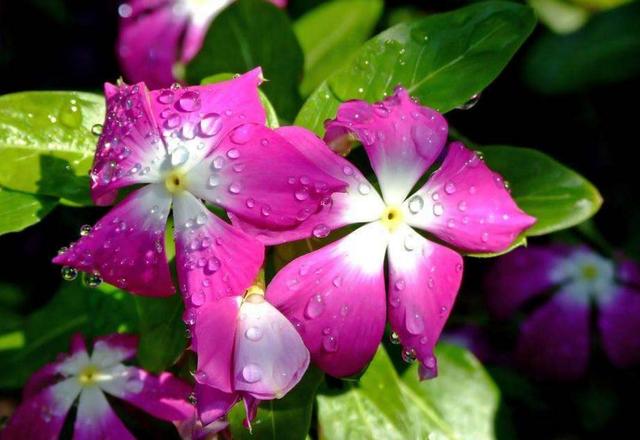 沒人疼的時候，請記住這三句話