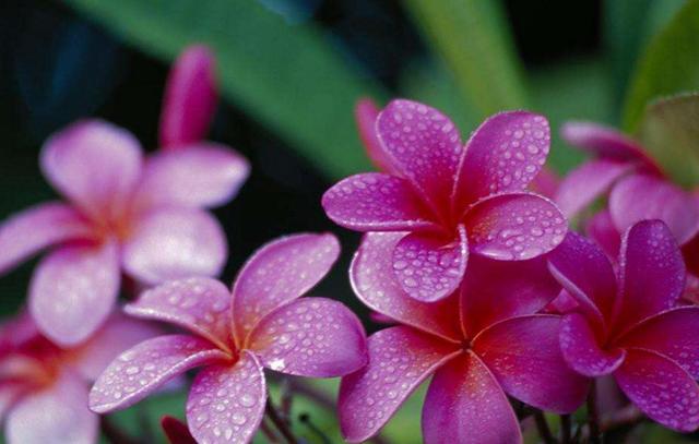 沒人疼的時候，請記住這三句話