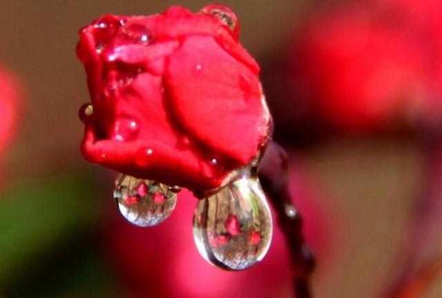 沒人疼的時候，請記住這三句話