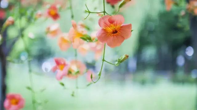 與人相處,這是最好的做法