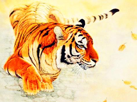 這3對生肖夫妻，再吵再鬧湊合過，只要不離婚就早晚富起來！