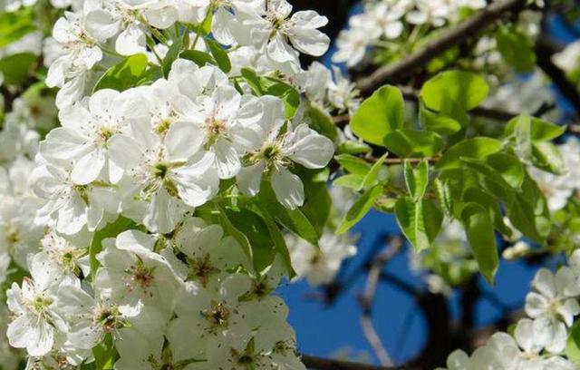 多做這四件小事，你就“吉人自會有天相”了