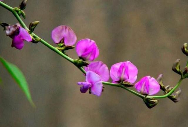 多做這四件小事，你就“吉人自會有天相”了