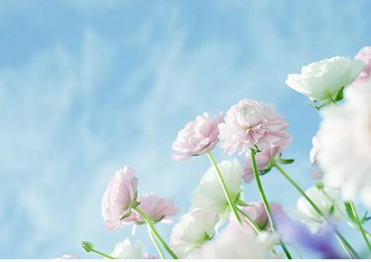 人生過得是心情，生活活的是心態