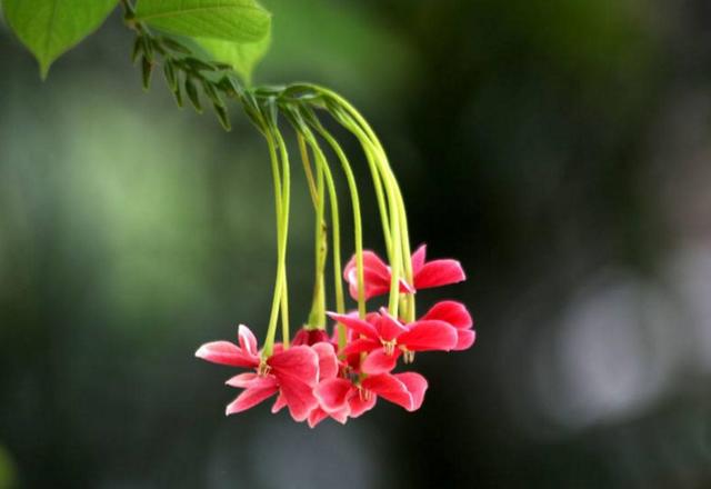 做人，要懂得笑著低頭