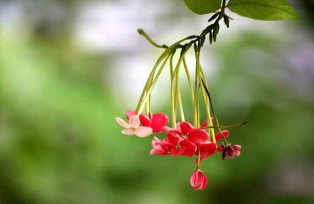 做人，要懂得笑著低頭