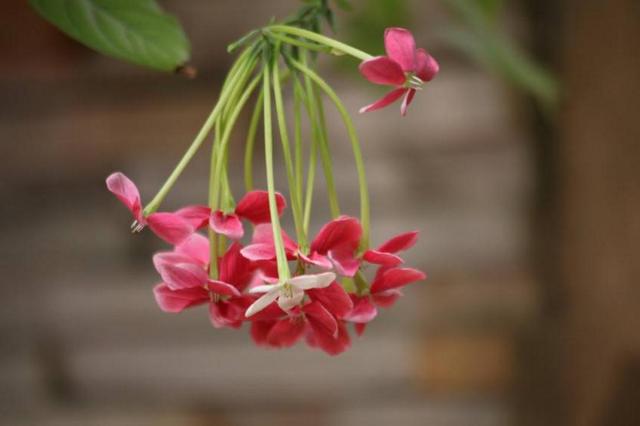 做人，要懂得笑著低頭