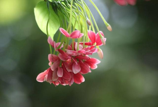 做人，要懂得笑著低頭