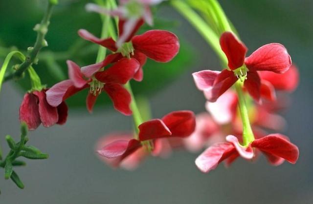 做人，要懂得笑著低頭