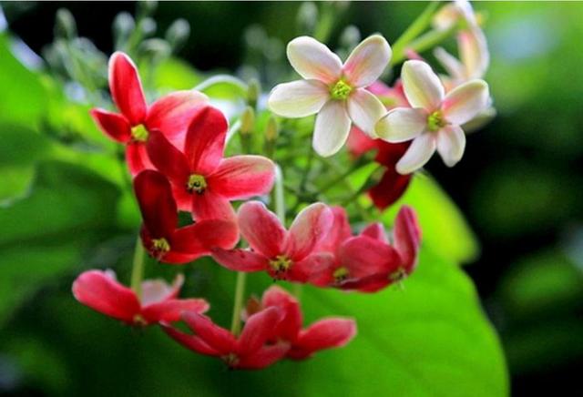 做人，要懂得笑著低頭