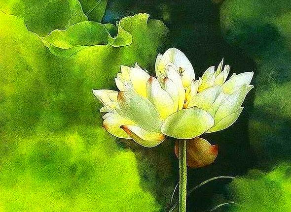 鹹魚的夢想，不過是想把人生看淡點