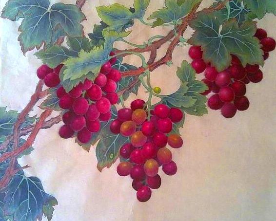 鹹魚的夢想，不過是想把人生看淡點