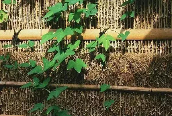 一抹凝煙，千年一嘆