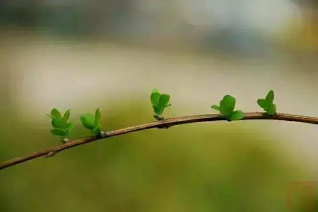 一抹凝煙，千年一嘆