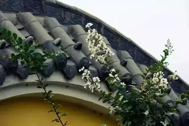 一抹凝煙，千年一嘆