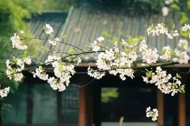 一抹凝煙，千年一嘆